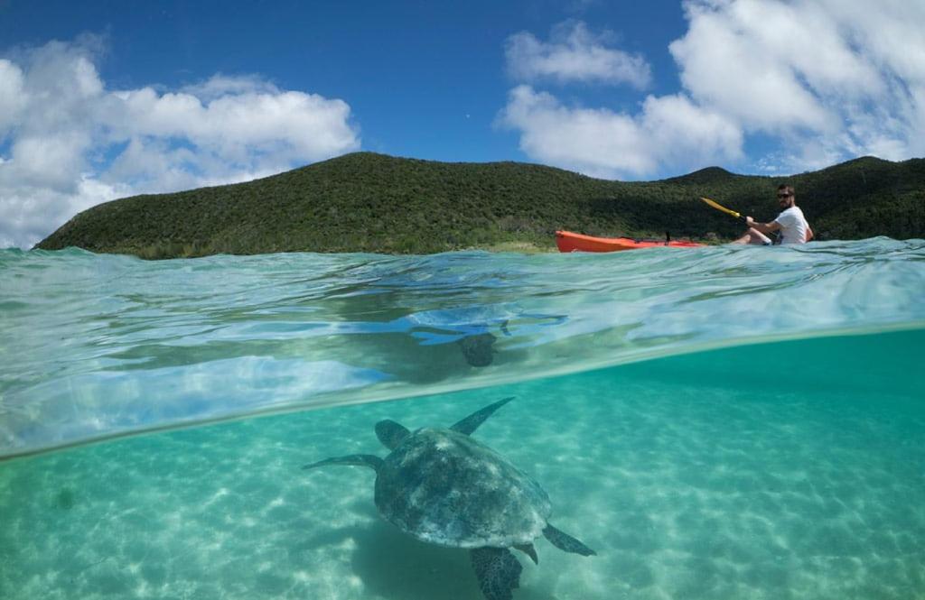 Вилла Arajilla Retreat Lord Howe Island Экстерьер фото